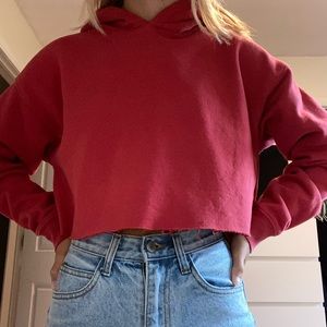 Urban outfitters cropped hoodie